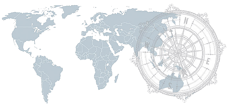Travel World Map large image